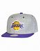 Бейсболка с прямым козырьком Mitchell and Ness NP64Z Los Angeles Lakers Grey Purple