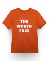 Футболка мужская The North Face 80s RAGE LETTER LOGO TEE BROWN