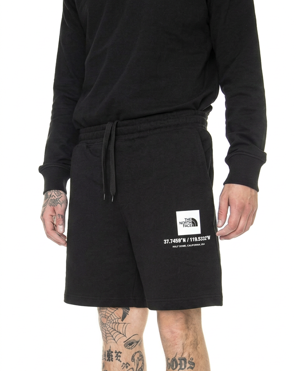 Шорты мужские The North Face Coordina Tes Black отзывы