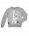Толстовка мужская свитшот Rum Knuckies 78 Grey отзывы