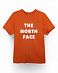 Футболка мужская The North Face 80s RAGE LETTER LOGO TEE BROWN