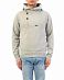 Толстовка мужская с капюшоном Iriedaily Ean Effort Hoody Grey Mel