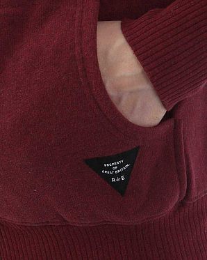 Толстовка с капюшоном на молнии Realm & Empire Great Britain Damson