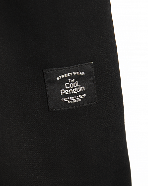 Брюки мужские широкие зимние Cool Penguin PPTL FLEECE 1909 Black
