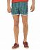 Бордшорты Wesc Riley Board Shorts Pacific Green