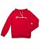 Толстовка мужская с капюшоном Champion Authentic American KK01 Red отзывы