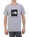 Футболка The North Face 000035509 Grey отзывы