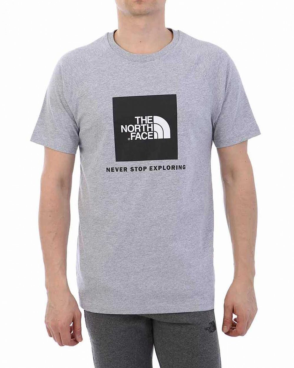 Футболка The North Face 000035509 Grey отзывы