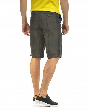 Шорты бермуды мужские Etnies Whodini Black