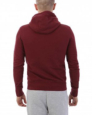 Толстовка с капюшоном мужская Realm & Empire Great Britain Damson