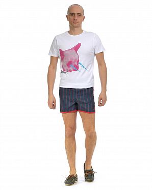 Бордшорты Wesc Riley Board Shorts Blue Atlantic