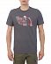 Футболка мужская The North Face New Stripe 19 Tee Grey отзывы