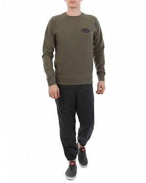 Толстовка мужская свитшот Dickies 1922 Briggsville Dark Olive