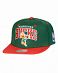 Бейсболка с прямым козырьком Mitchell and Ness 2 TONE TEAM ARCH Milwaukee Bucks Green