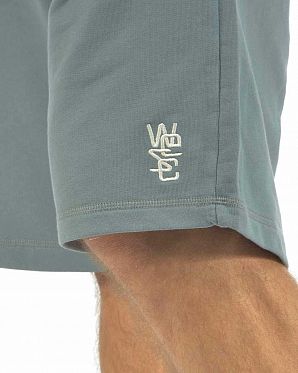 Шорты мужские повседневные WeSC Arto Blue Graphite