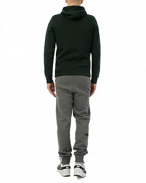 Толстовка с капюшоном на молнии Champion Authentic American GS512 Green Толстовка с капюшоном на молнии Champion Authentic American GS512 Green