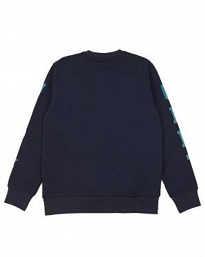 Толстовка мужская на флисе Carhartt Chase Sweat Shade Navy Толстовка мужская на флисе Carhartt Chase Sweat Shade Navy