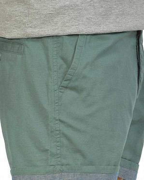 Шорты мужские укороченные Wesc Sloan Botanical Green