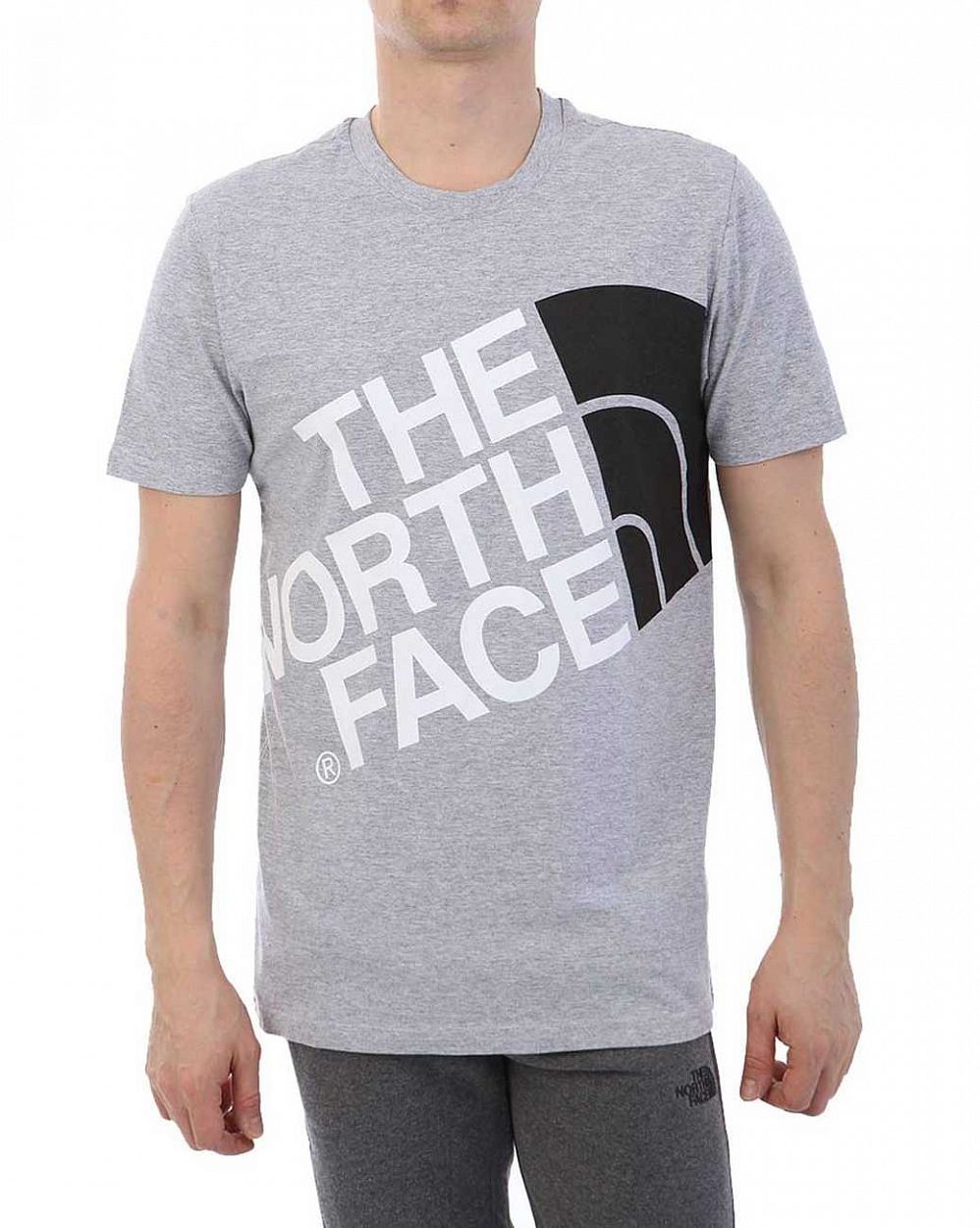 Футболка The North Face 000035512 Grey отзывы
