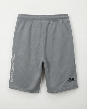 Шорты мужские The North Face Standart Med Grey Slate