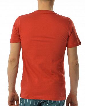 Футболка классическая мужская Carhartt Rado