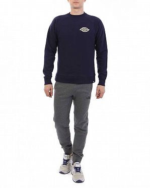 Толстовка мужская свитшот Dickies 1922 Briggsville Evening Blue