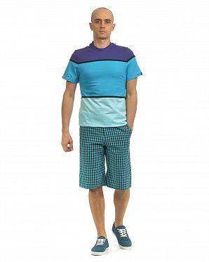 Шорты бермуды Etnies Badminton Chino Short Blue
