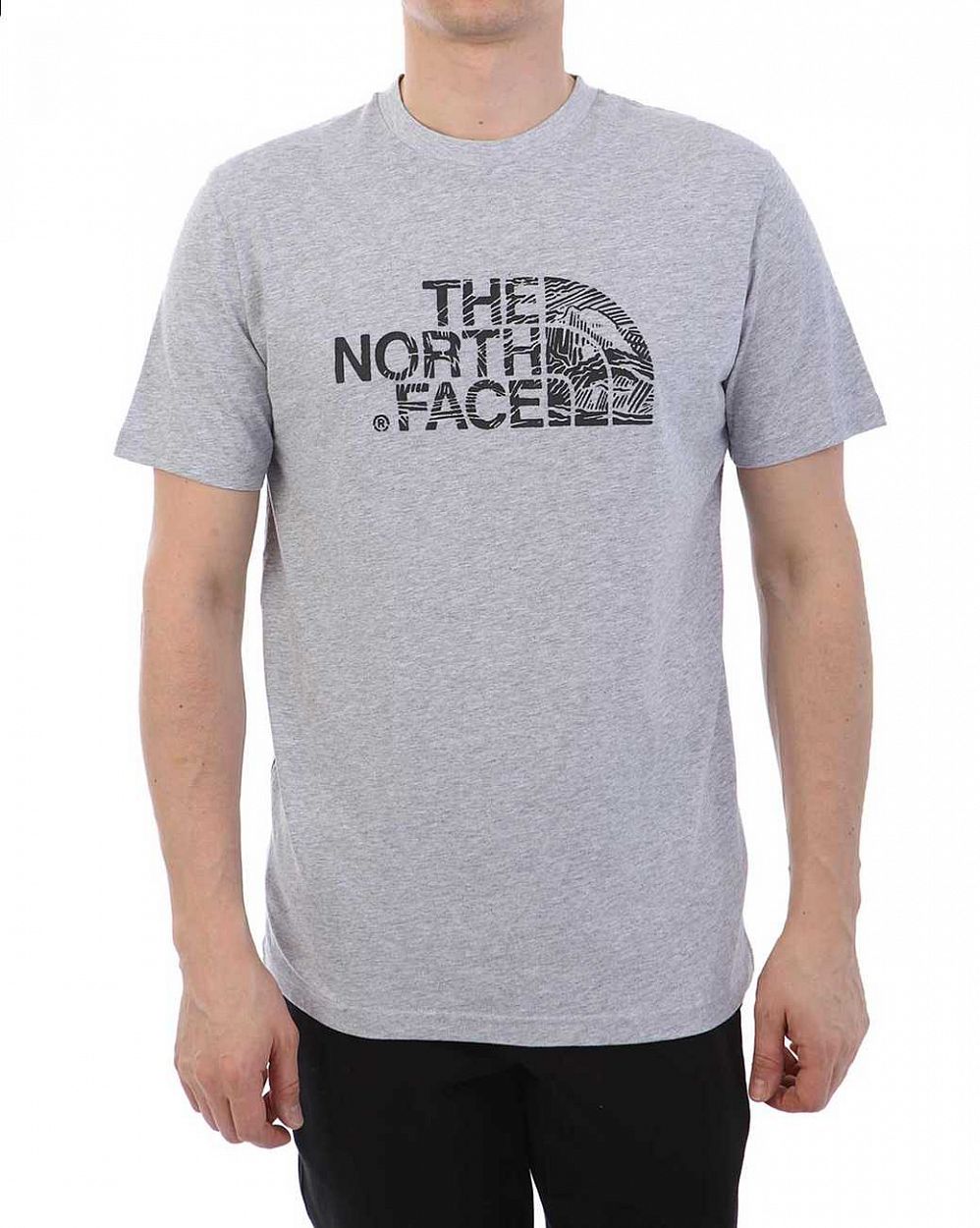 Футболка The North Face 000035545 Grey отзывы