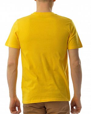 Футболка классическая мужская Carhartt Multicolor