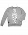 Толстовка свитшот Rum Knuckies Lady X Grey отзывы