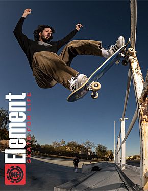 Скейтборд в Сборе Element 5 размер 8.25 Lamour Скейтборд в Сборе Element 5 размер 8.25 Lamour