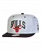 Бейсболка с прямым козырьком Mitchell and Ness EU090 SCRI POP Chicago Bulls Grey отзывы