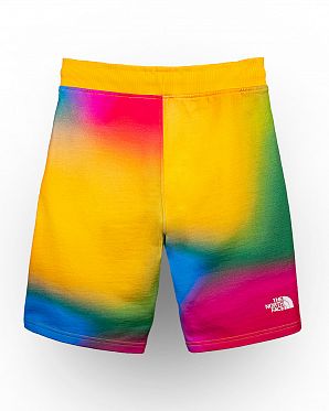 Шорты мужские The North Face STAND SUPER SONIC BLUE COLOR GRADIENT Шорты мужские The North Face STAND SUPER SONIC BLUE COLOR GRADIENT