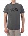 Футболка мужская The North Face Logo Front Signature Back Grey отзывы