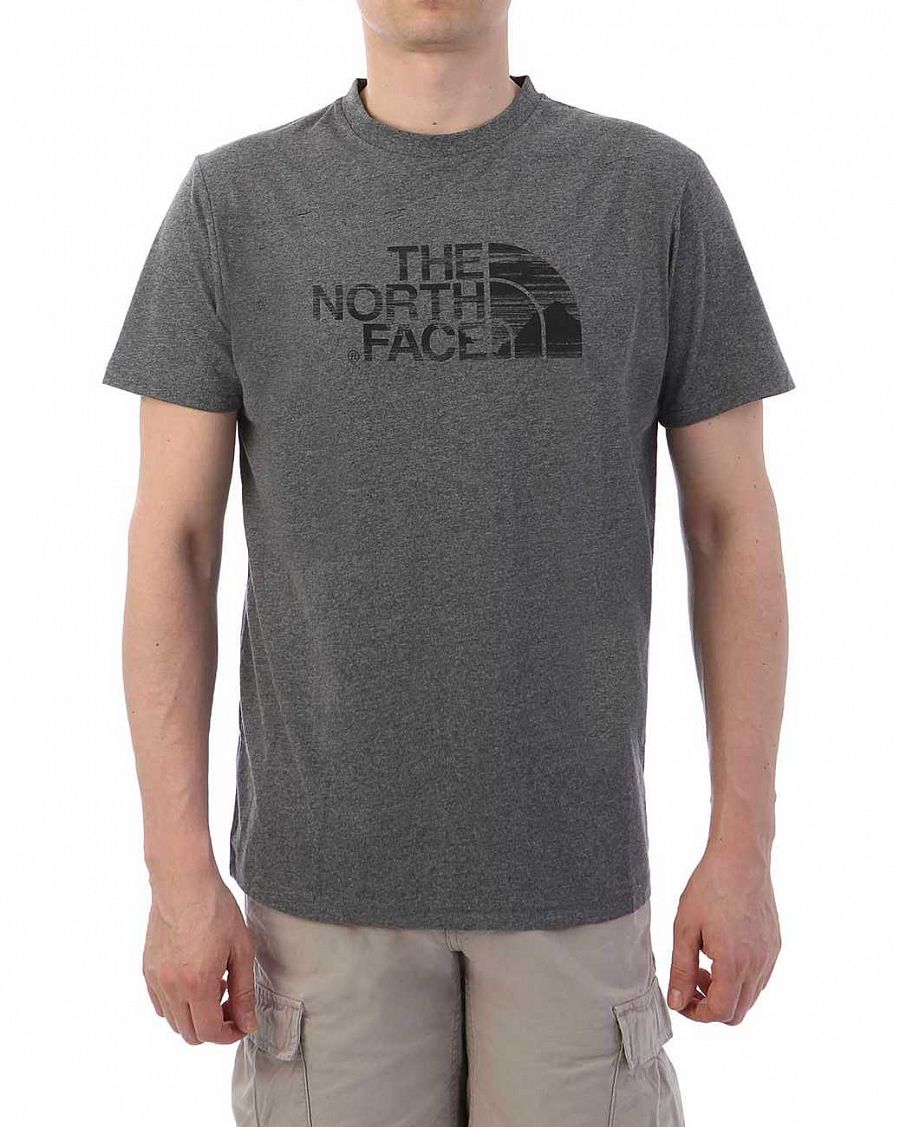 Футболка мужская The North Face Logo Front Signature Back Grey отзывы