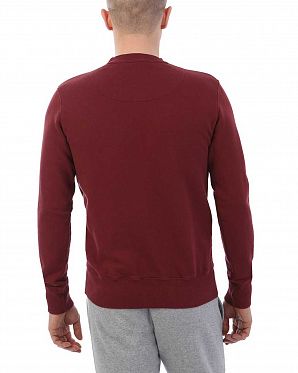 Толстовка свитшот мужская Realm & Empire Great Britain Damson