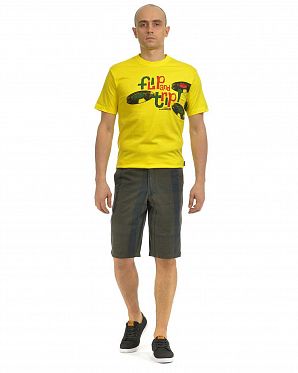 Шорты бермуды мужские Etnies Whodini Black