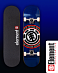 Скейтборд в Сборе Element 6 размер 8.25 (22 синий 8.25)