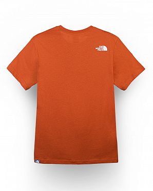 Футболка мужская The North Face 80s RAGE LETTER LOGO TEE BROWN Футболка мужская The North Face 80s RAGE LETTER LOGO TEE BROWN