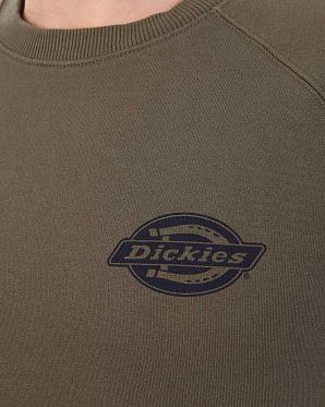 Толстовка мужская свитшот Dickies 1922 Briggsville Dark Olive
