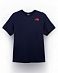 Футболка мужская The North Face Red Box CELEBRATION URBAN NAVY FIERY RED
