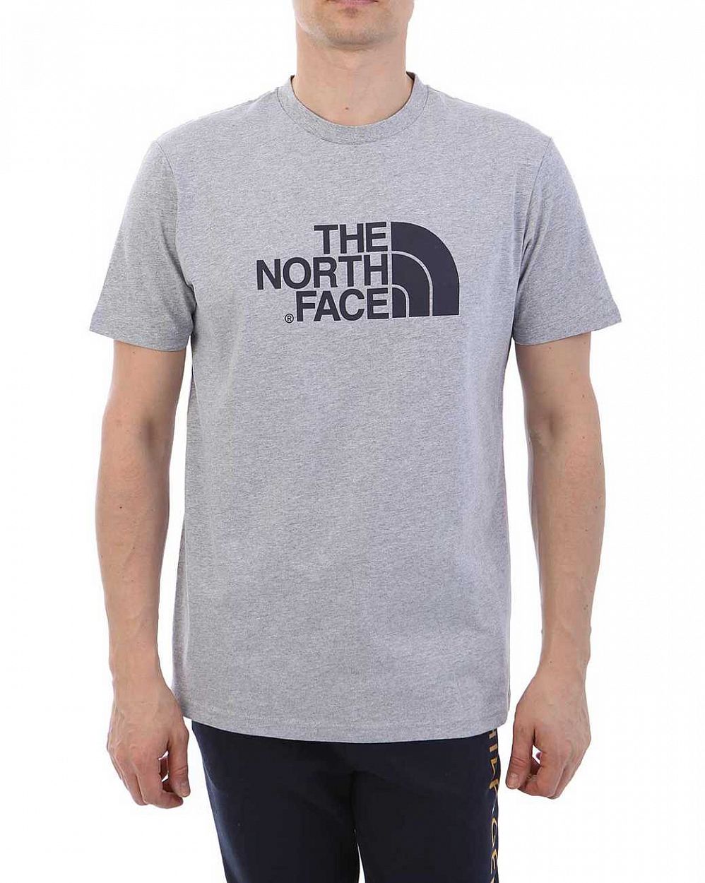 Футболка The North Face 000035551 Grey Navy отзывы