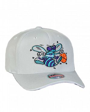 Бейсболка с изогнутым козырьком Mitchell and Ness Spot Lights Stretch Charlotte Hornets Grey