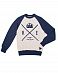 Толстовка свитшот мужская Realm & Empire Great Britain Blue Grey отзывы