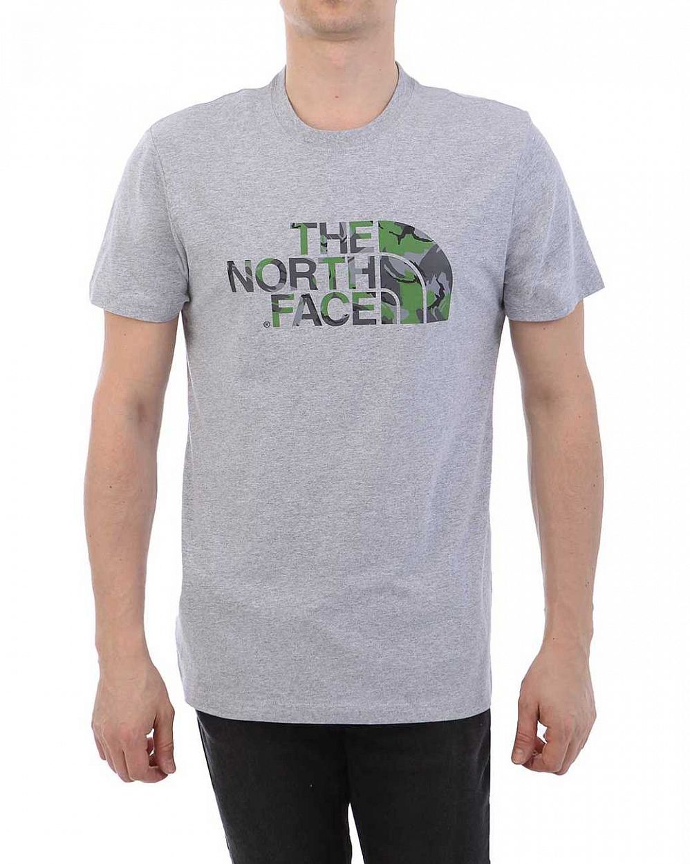 Футболка The North Face 000035695 Grey Green отзывы