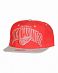 Бейсболка с прямым козырьком Mitchell and Ness EU161 GUARD Detroit Redwings Red