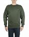 Толстовка Dickies Mount Vista Sweatshirt Olive