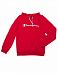 Толстовка мужская с капюшоном Champion Authentic American KK01 Red