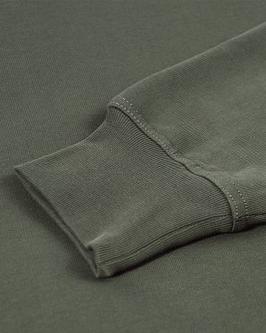 Толстовка Dickies Mount Vista Sweatshirt Olive Толстовка Dickies Mount Vista Sweatshirt Olive