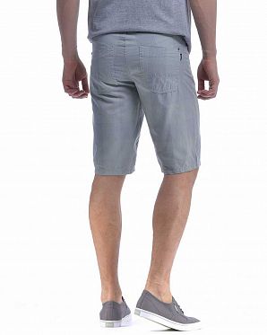 Шорты бермуды Etnies Radsome Light Grey